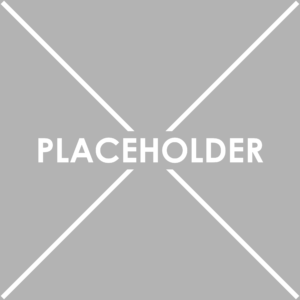 Placeholder 9